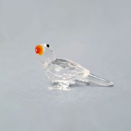Parrot